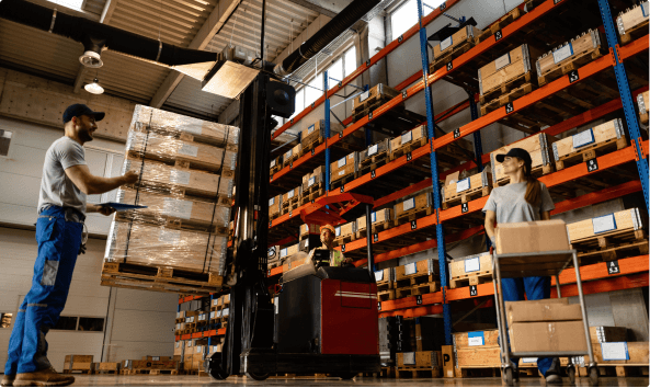 Zoho consulting and integration services for growing businesses bahrain